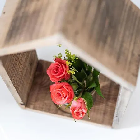 Lüttje Hütt Mien Lüttje Hütt 02 Apartamento *